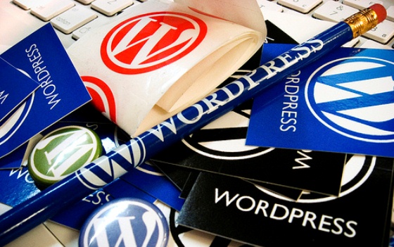 WordPress(ワードプレス)を開設したら導入したいプラグインベスト18